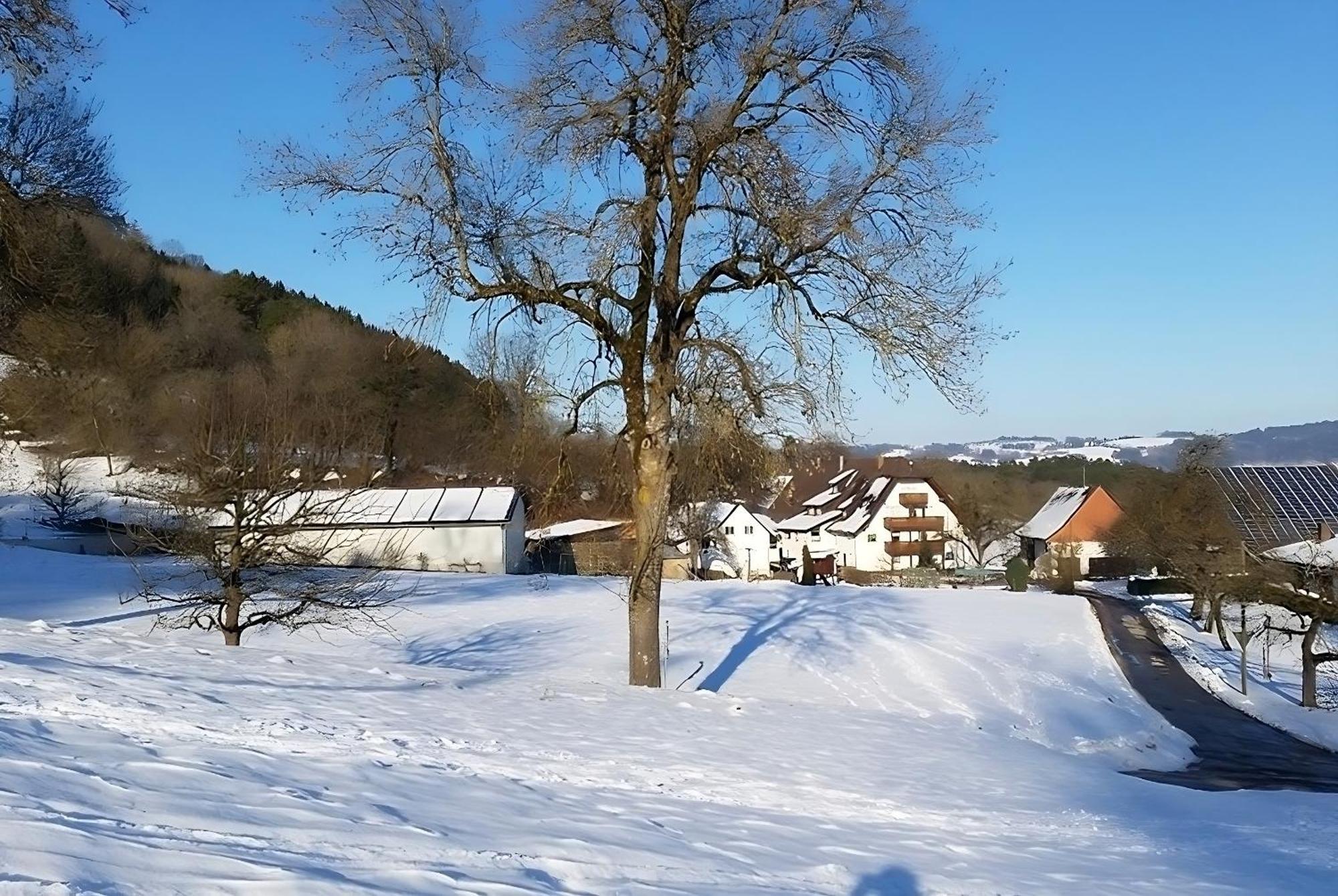 Mayer Burghoefe Owingen Exterior photo